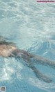 A dolphin swimming in a pool of water. 